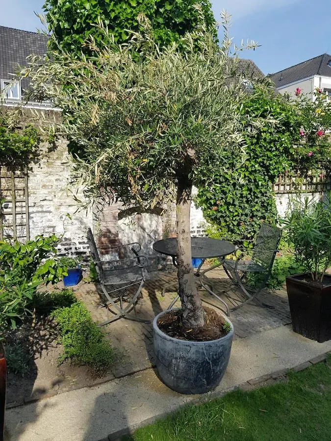 Bed & Breakfast In Monumental House Maastricht Centre